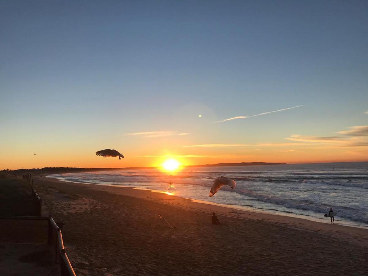Cronulla Beach Hostel Sidney Dış mekan fotoğraf